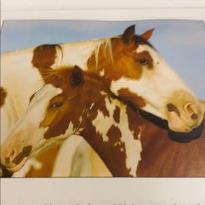 Meet your Posher, Ruby